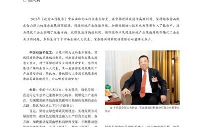 打破傳統(tǒng)走綠色轉(zhuǎn)型之路——訪十四屆全國(guó)人大代表、寶泰隆新材料股份有限公司董事長(zhǎng)焦云