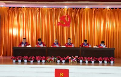 寶泰隆黨委換屆選舉黨員大會(huì)勝利召開